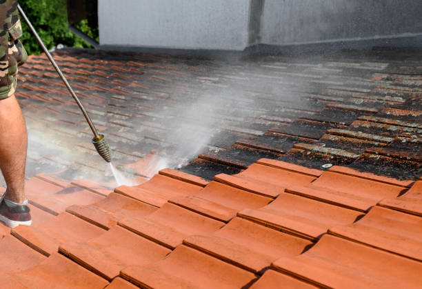 Best Roof Pressure Washing  in Mesquite, NV